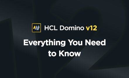 Domino 12 pdf splash image